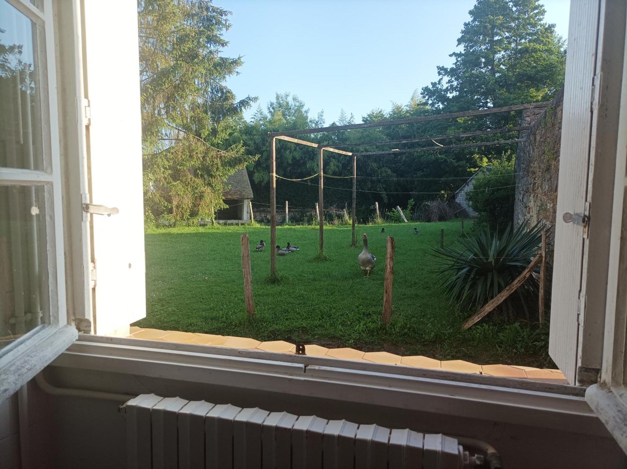 La Maison Au Bord De L'Eau Gracay エクステリア 写真