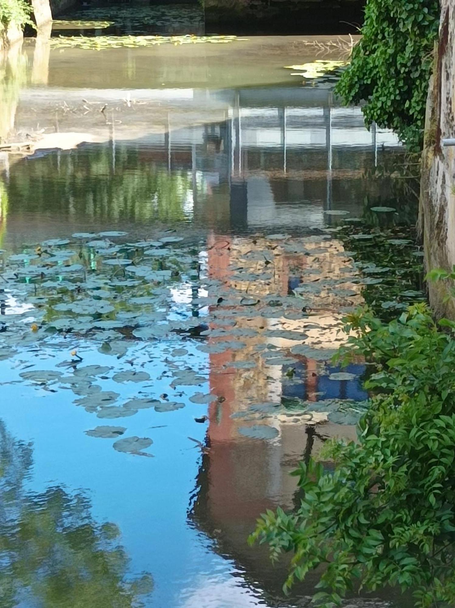 La Maison Au Bord De L'Eau Gracay エクステリア 写真